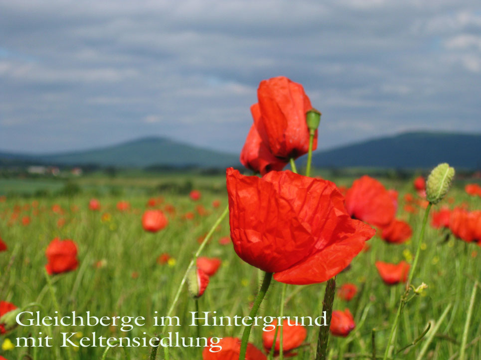 Gleichberge mit Mohn im Vordergrund