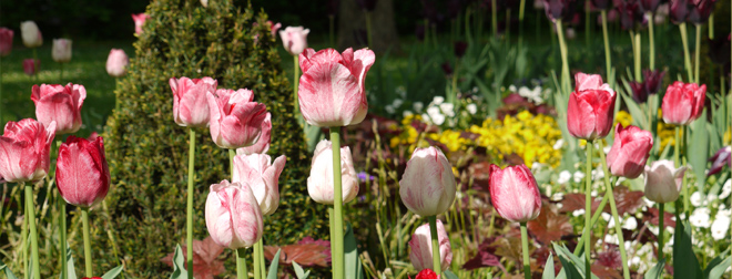Frühling