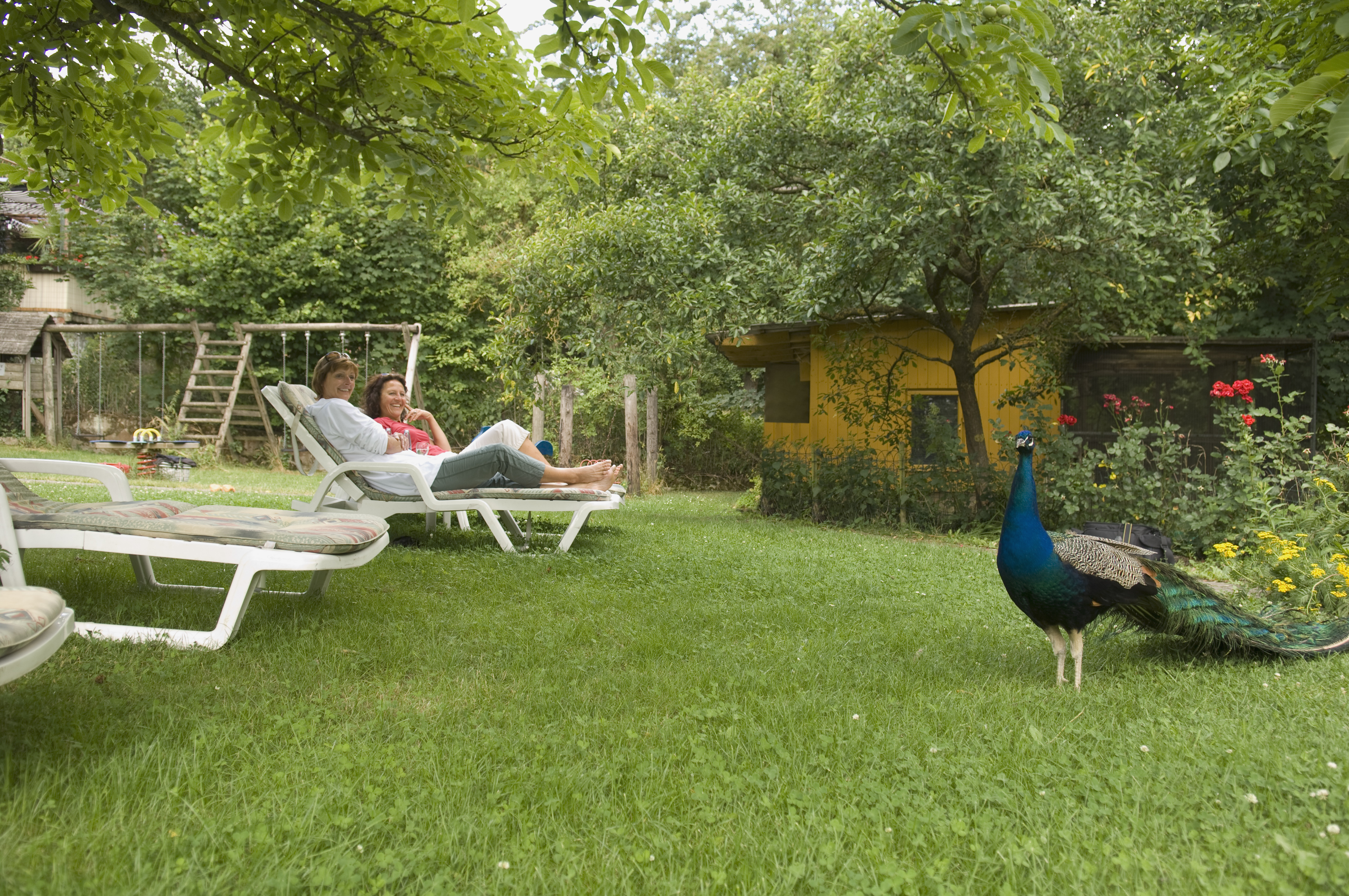 Wohlfühlen im Garten des Hotels Ebner mit Pfau
